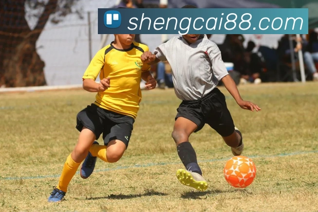 尊龙凯时发展历程